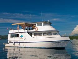 Lembeh - North Sulawesi, Indonesia. Day liveaboard.